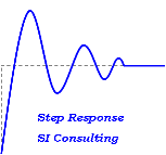 Step Response SI Consulting, Inc.